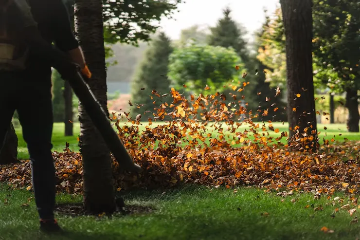 A worker clearing a thick layer of autumn leaves with a leaf blower, leaves swirling mid-air