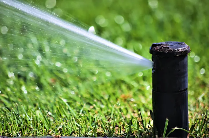 Close-up of a pop-up sprinkler head spraying water across a lawn